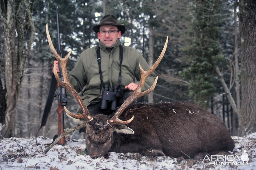 France Hunt Sika Deer