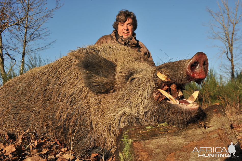 France Hunt Wild Boar