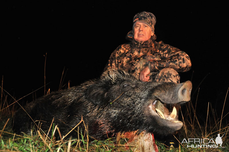 France Hunt Wild Boar