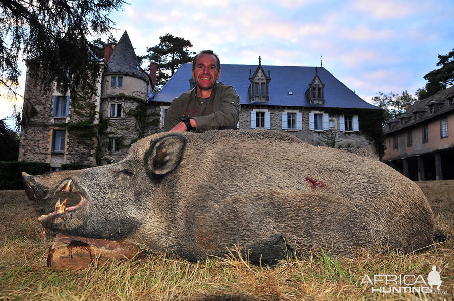 France Hunt Wild Boar