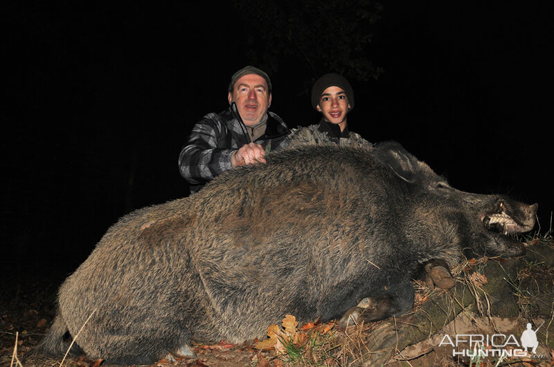 France Hunt Wild Boar