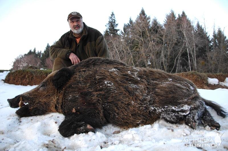 France Hunt Wild Boar