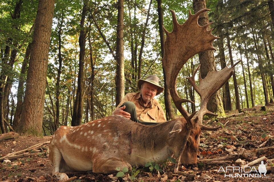 France Hunting Fallow Deer