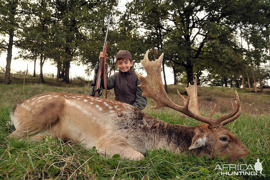 France Hunting Fallow Deer