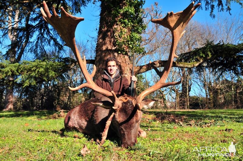 France Hunting Fallow Deer