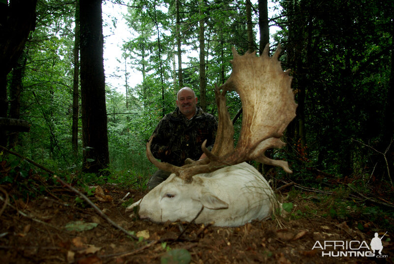 France Hunting Fallow Deer