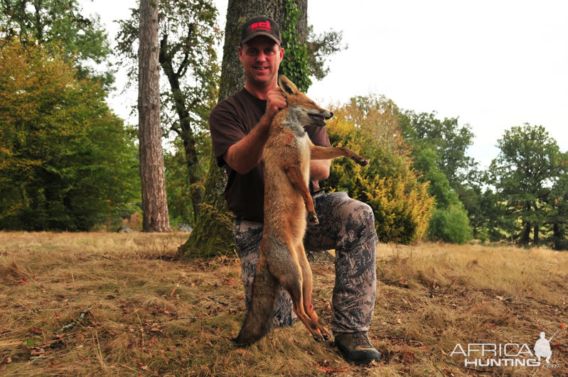 France Hunting Fox