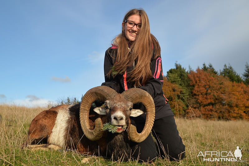 France Hunting Mouflon