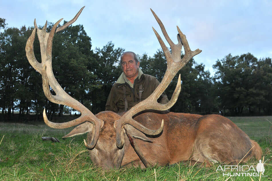 France Hunting Red Stag