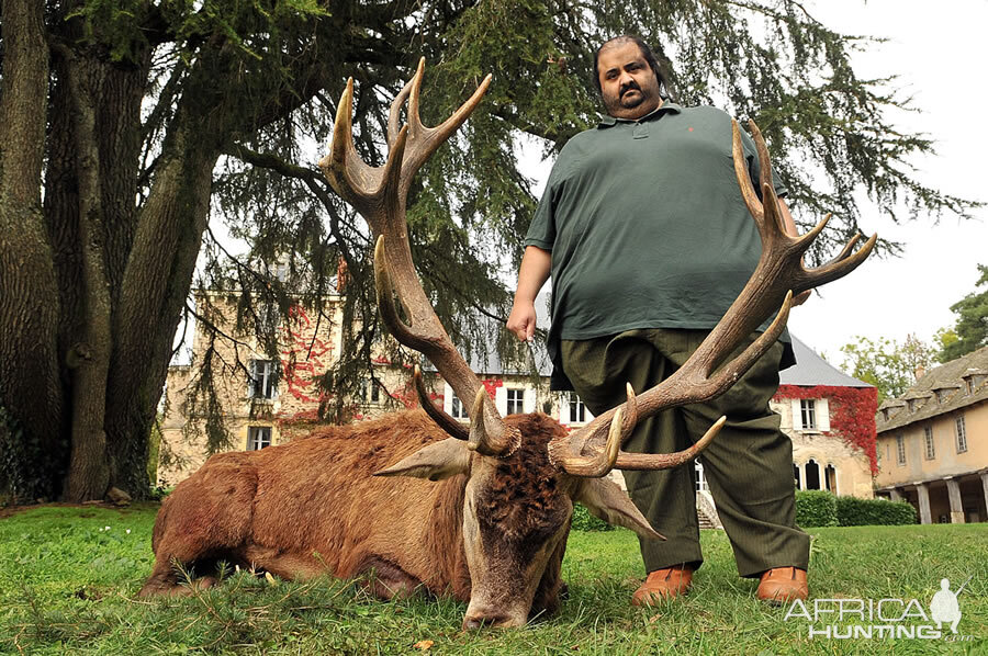 France Hunting Red Stag