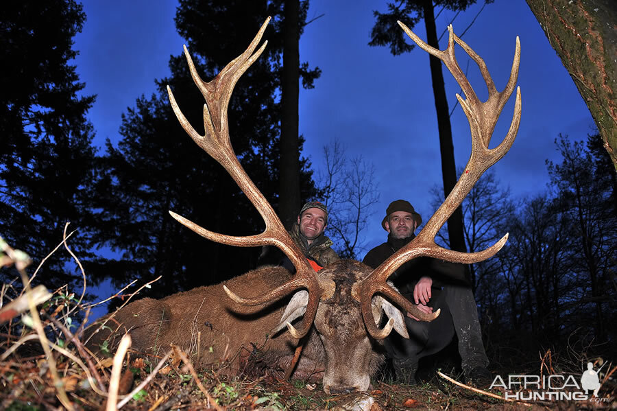 France Hunting Red Stag