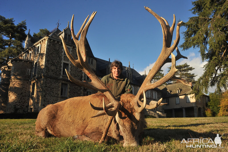 France Hunting Red Stag