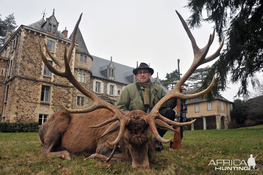 France Hunting Red Stag