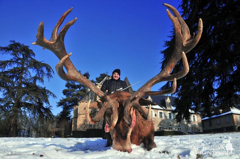 France Hunting Red Stag