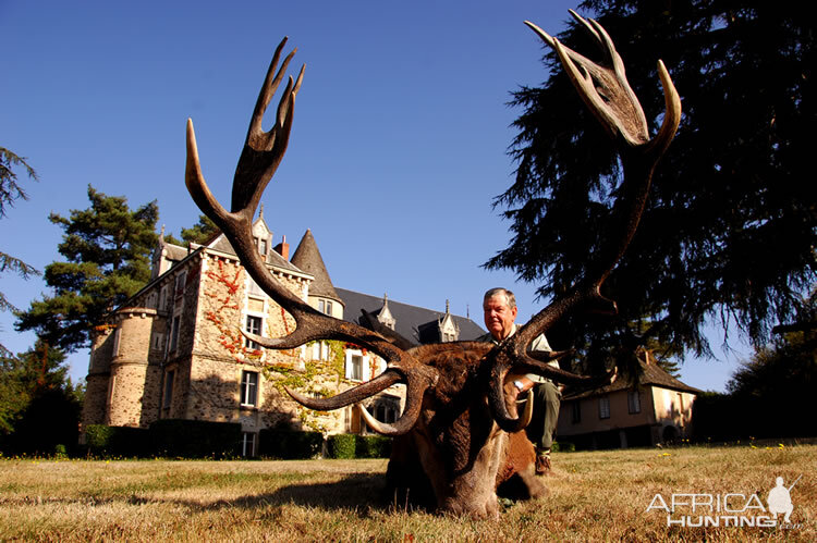 France Hunting Red Stag