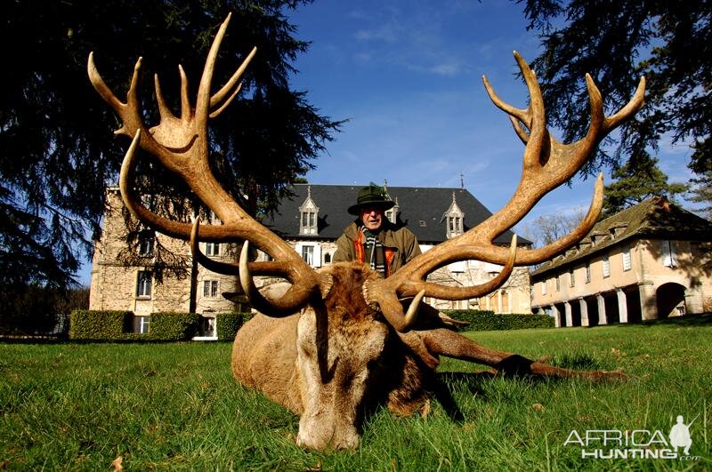 France Hunting Red Stag