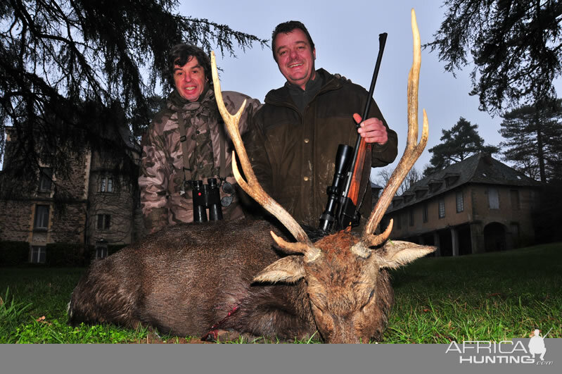 France Hunting Sika Deer