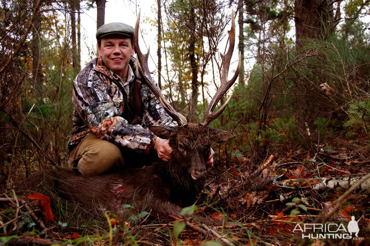 France Hunting Sika Deer