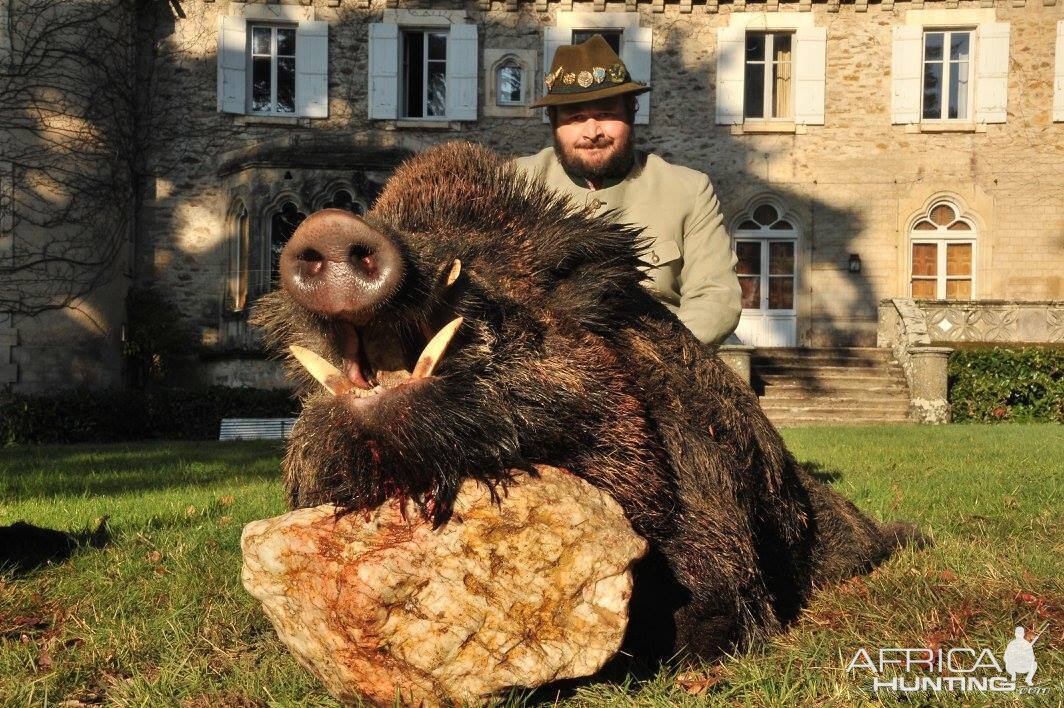 France Hunting Wild Boar