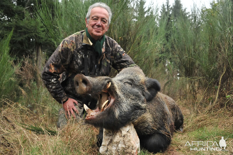 France Hunting Wild Boar