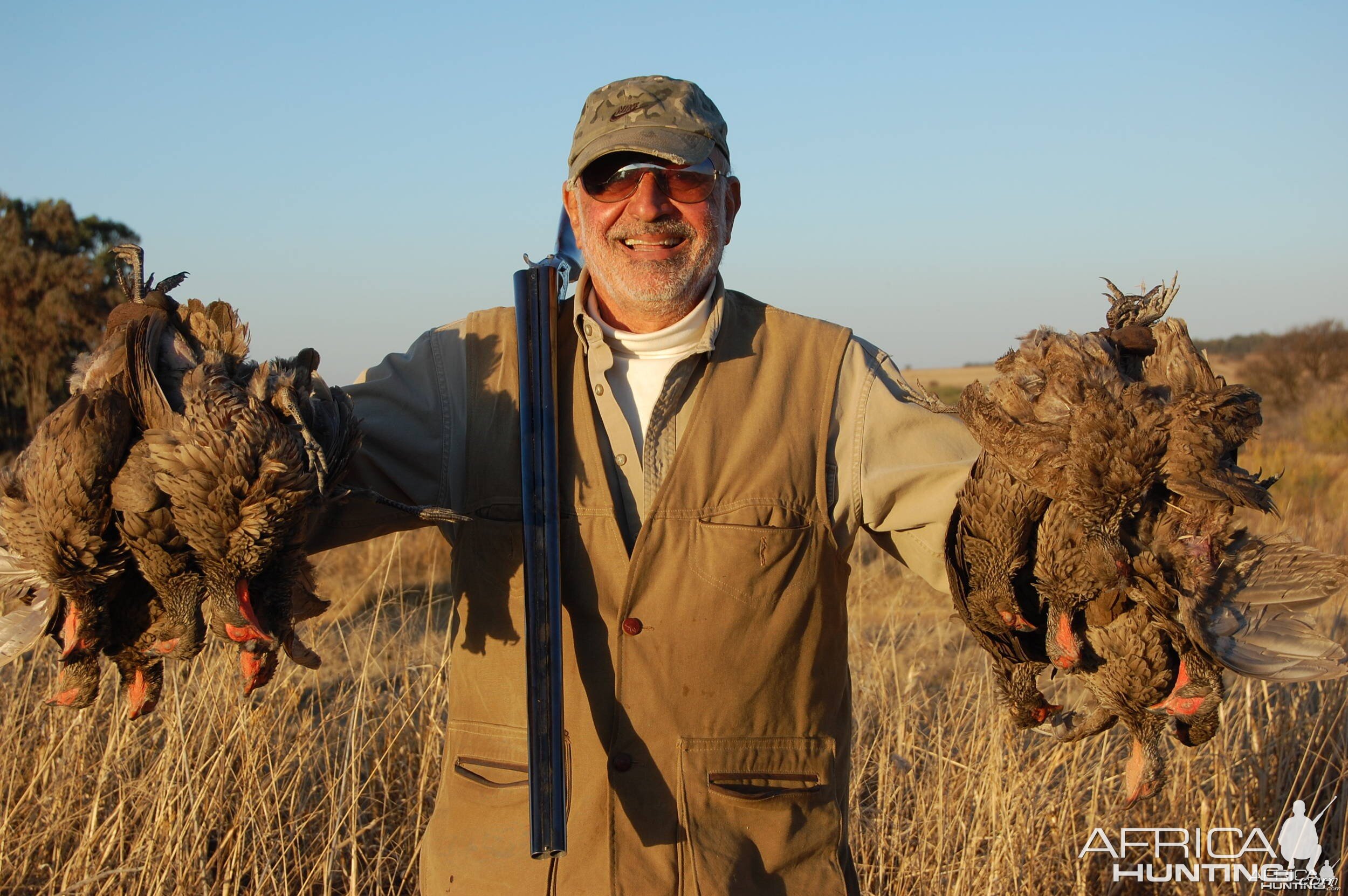 Francolin over trained pointers