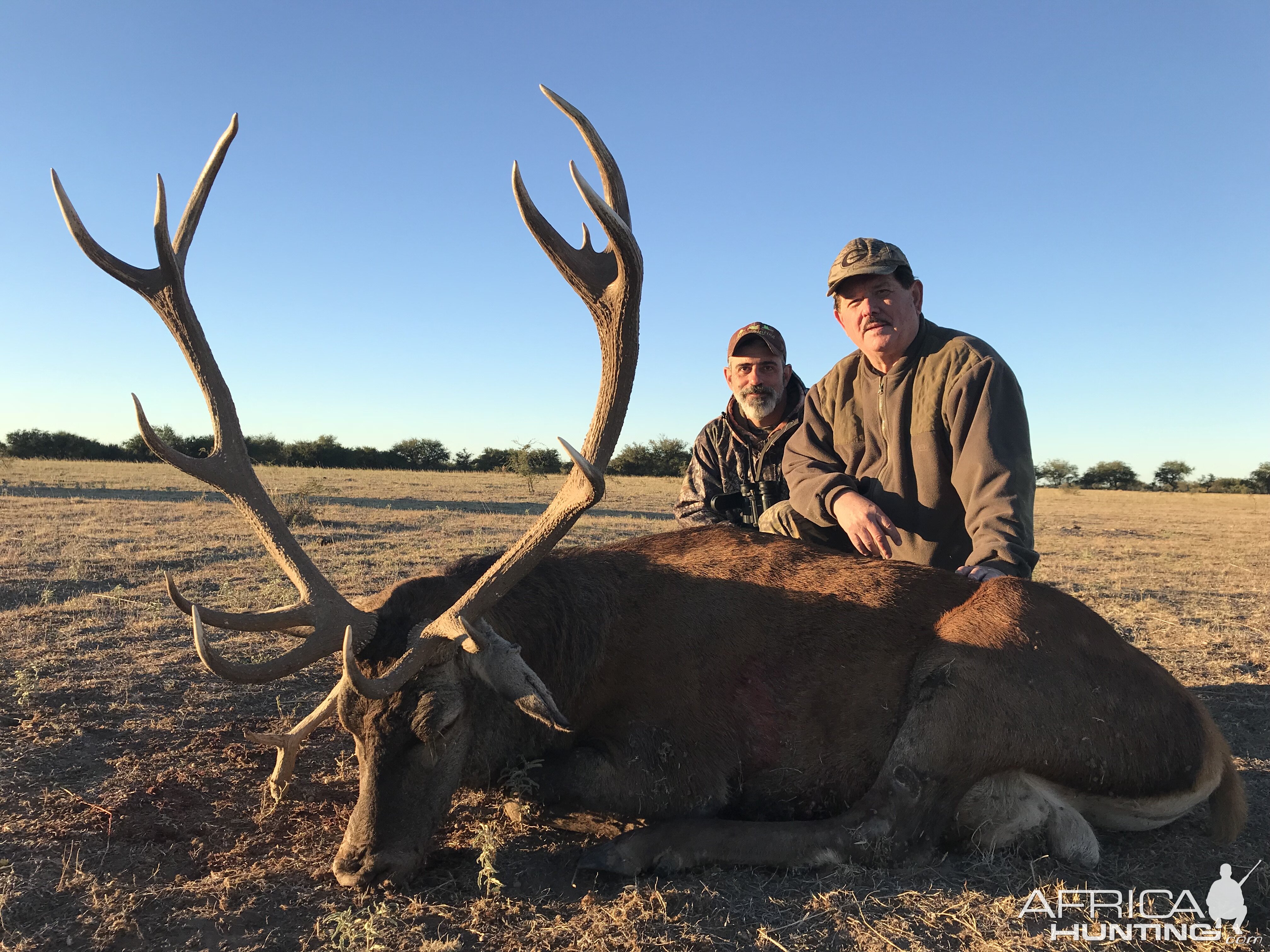 Free-range red stag MG Hunting