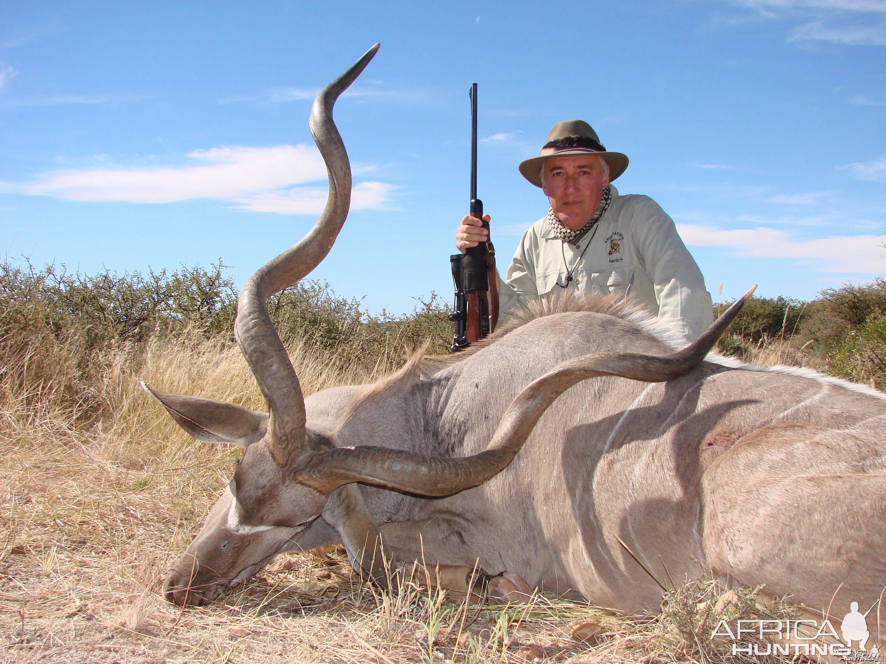 Free-ranging kudus