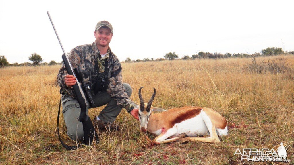 Freestate South Africa Springbok