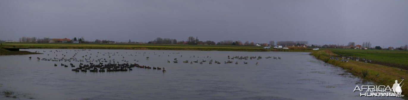 French Hunting Style - Global view of our spread