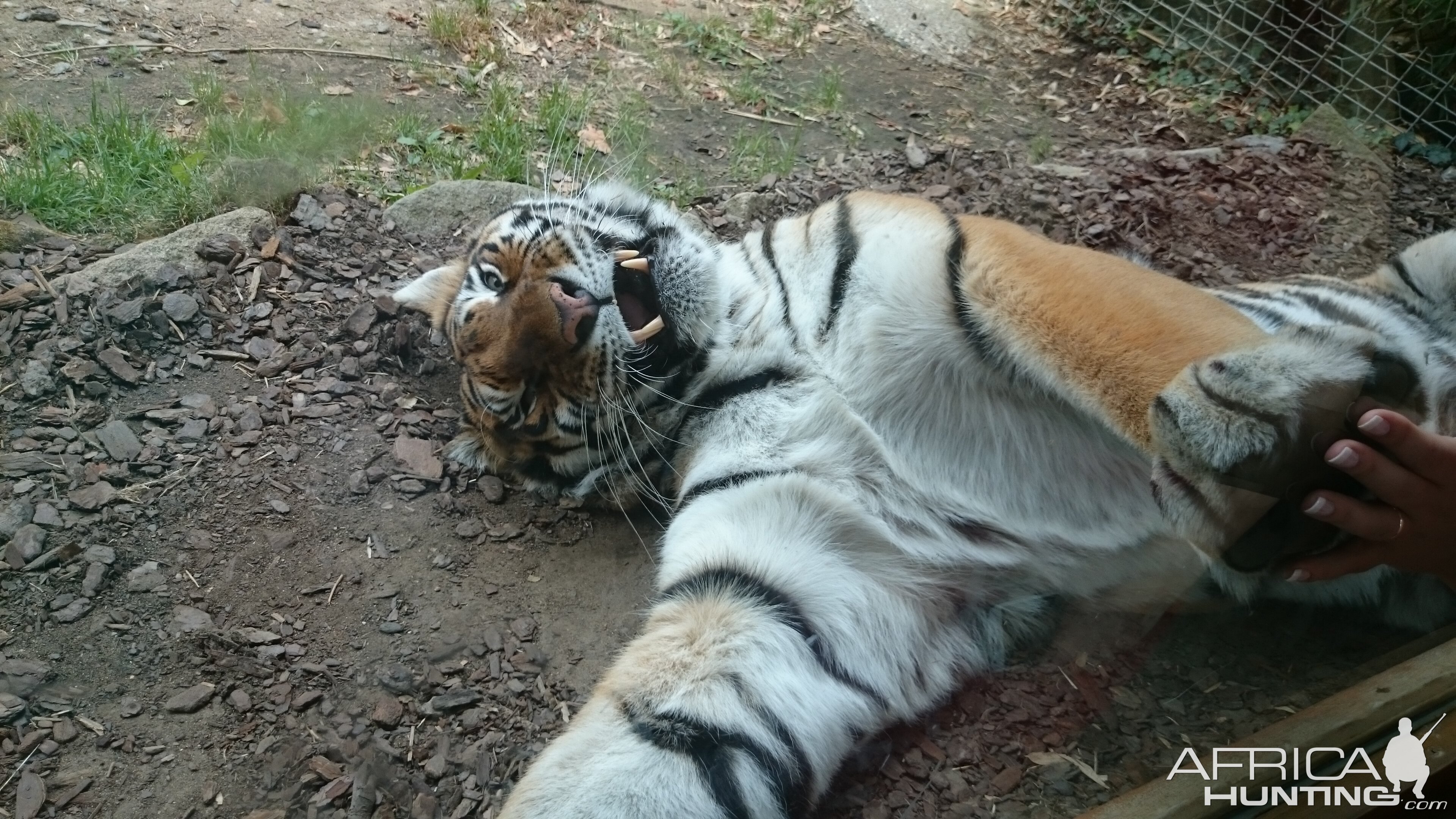 French Zoo St Martin la Plaine. .