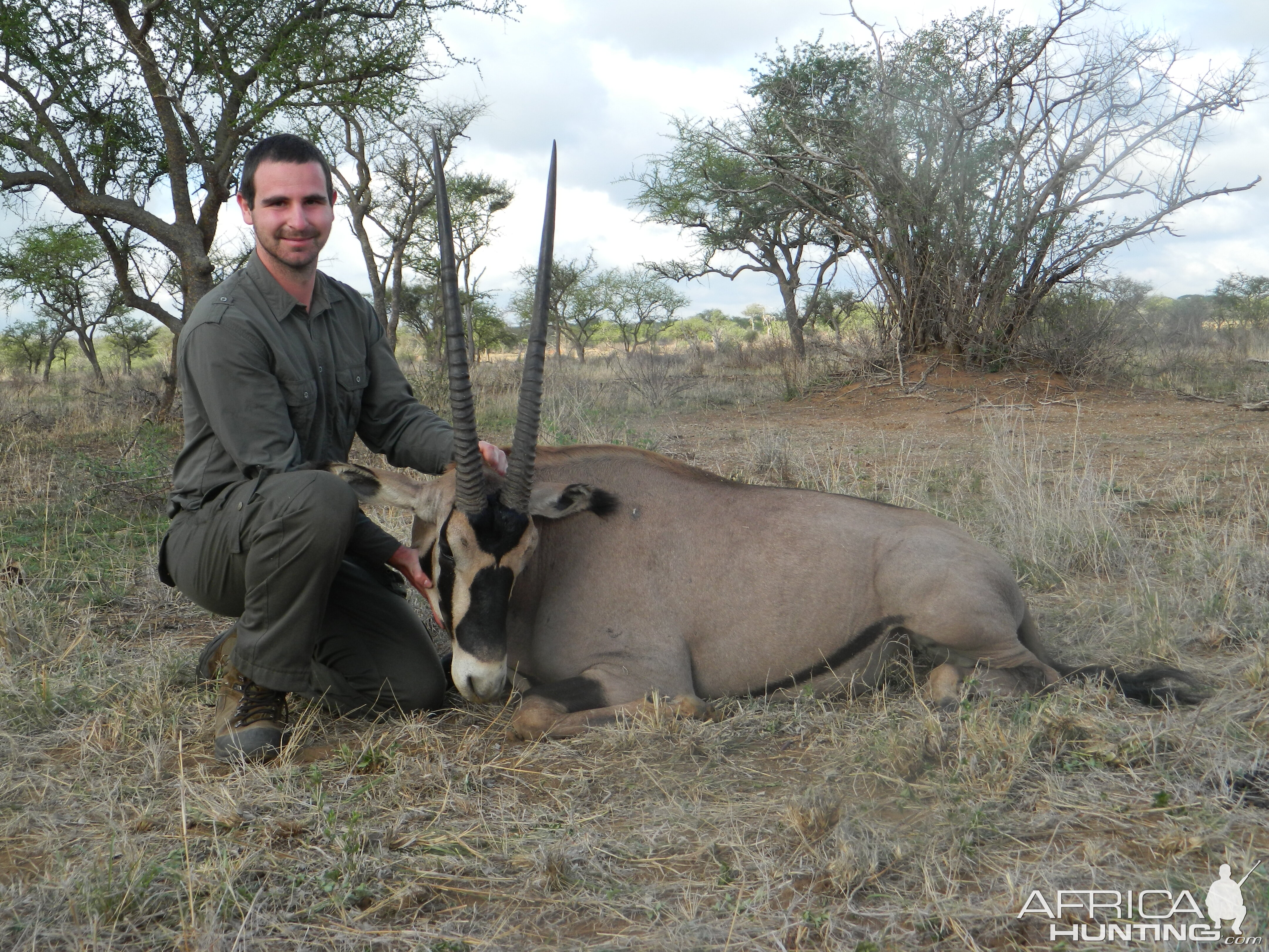 Fringe-eared Oryx from Masailand