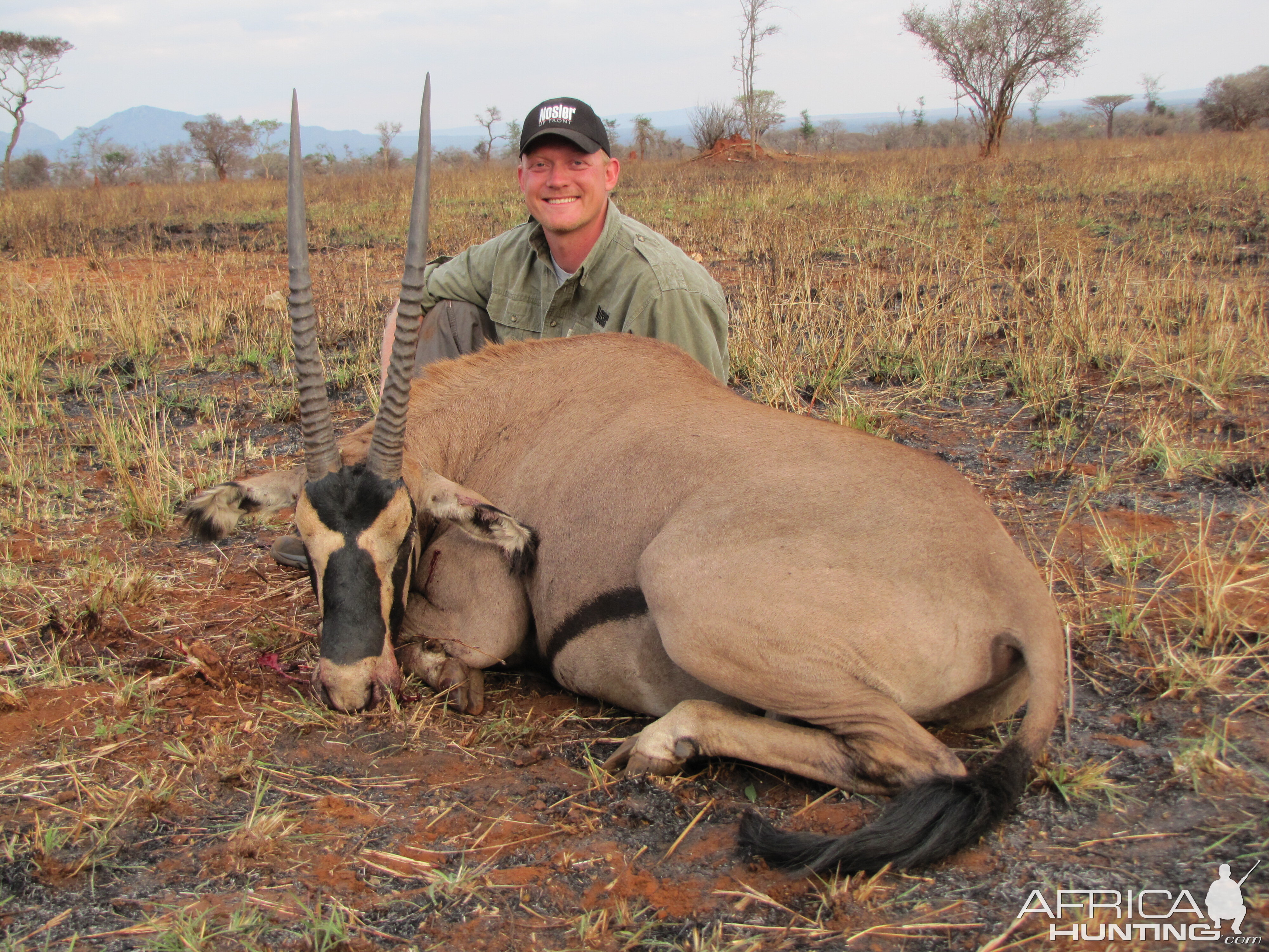 Fringe-eared Oryx