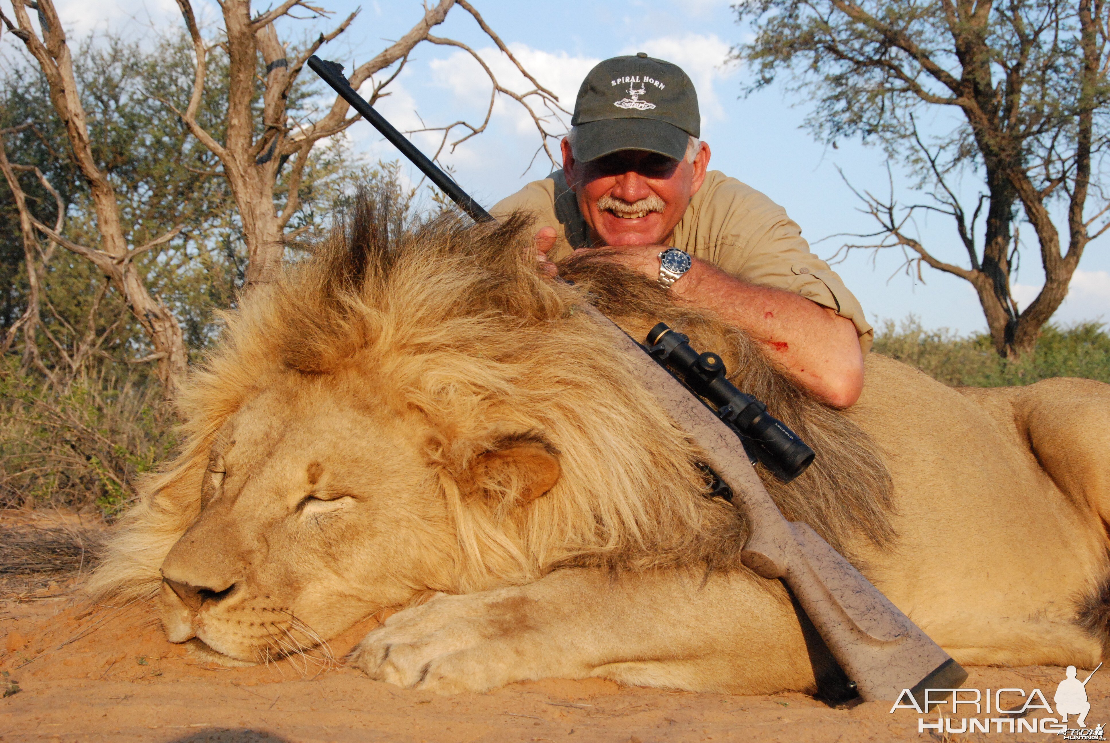 Full Mane Lion