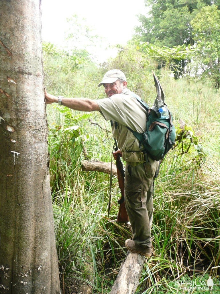 Gabon Hunt Gabonese Sitatunga