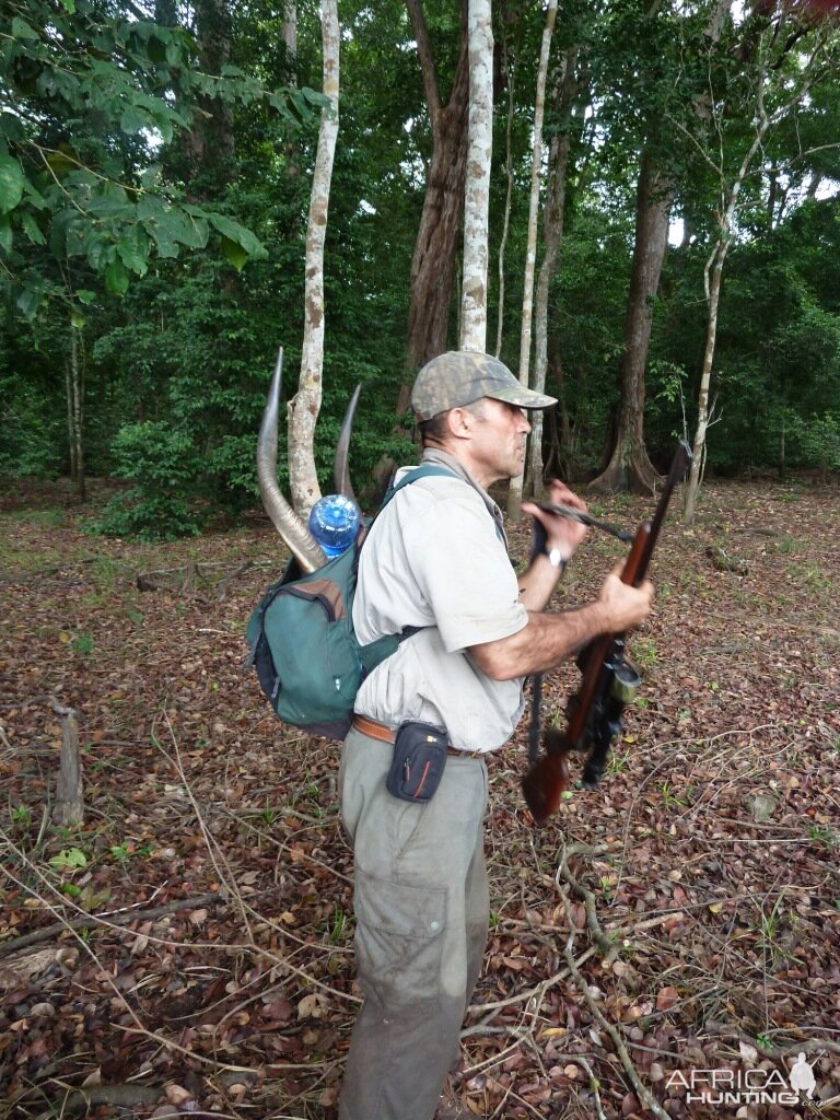 Gabonese Sitatunga Hunting Gabon