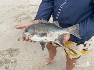 Galjoen Fishing Namibia