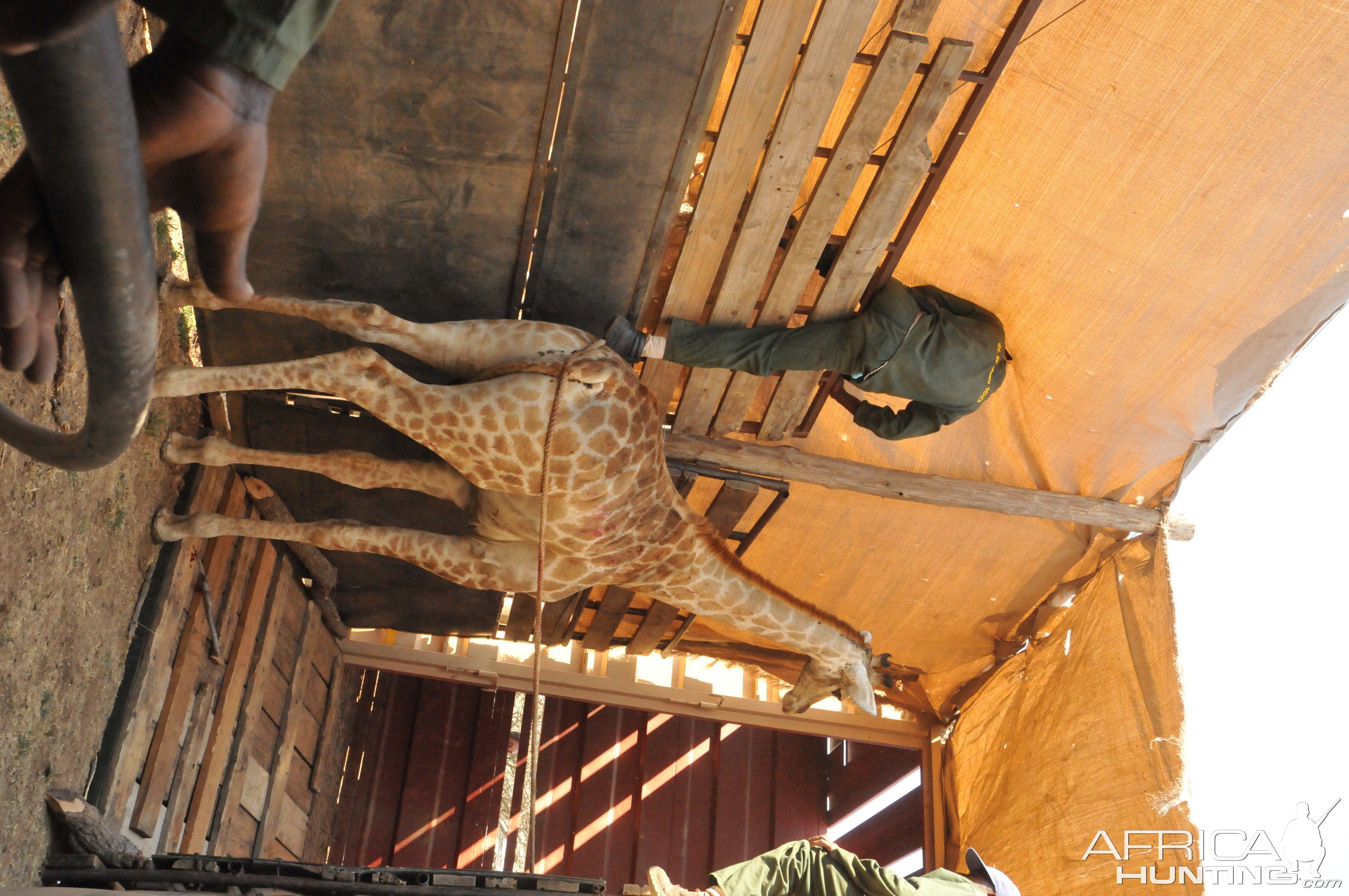 Game Capture Namibia