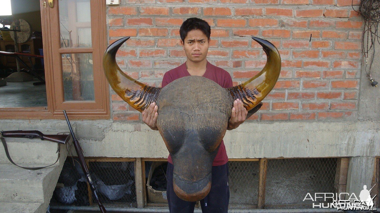 Gaur Trophy