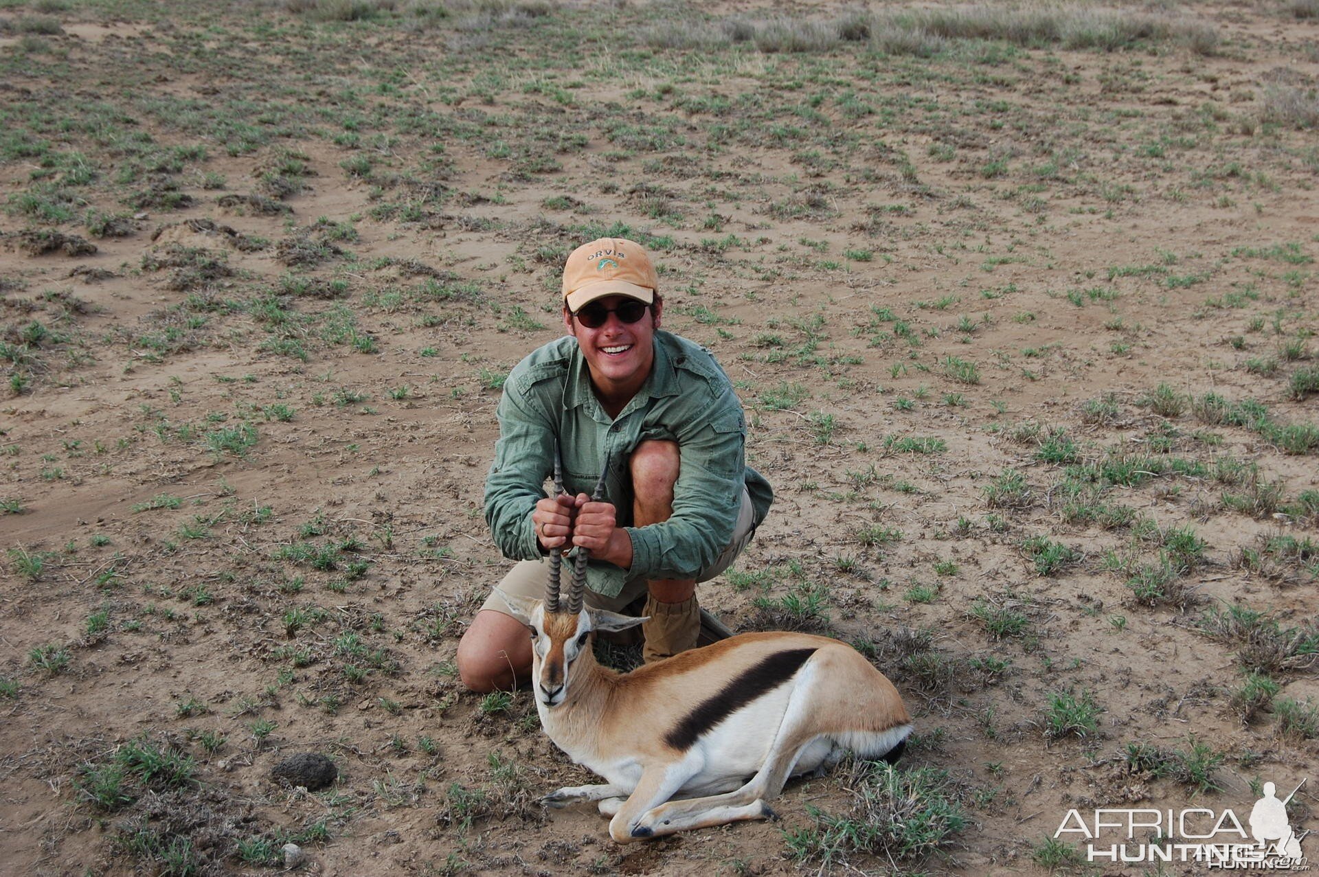 Gazelle Tanzania