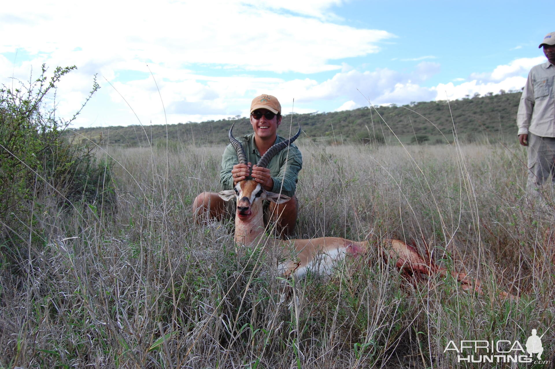 Gazelle Tanzania