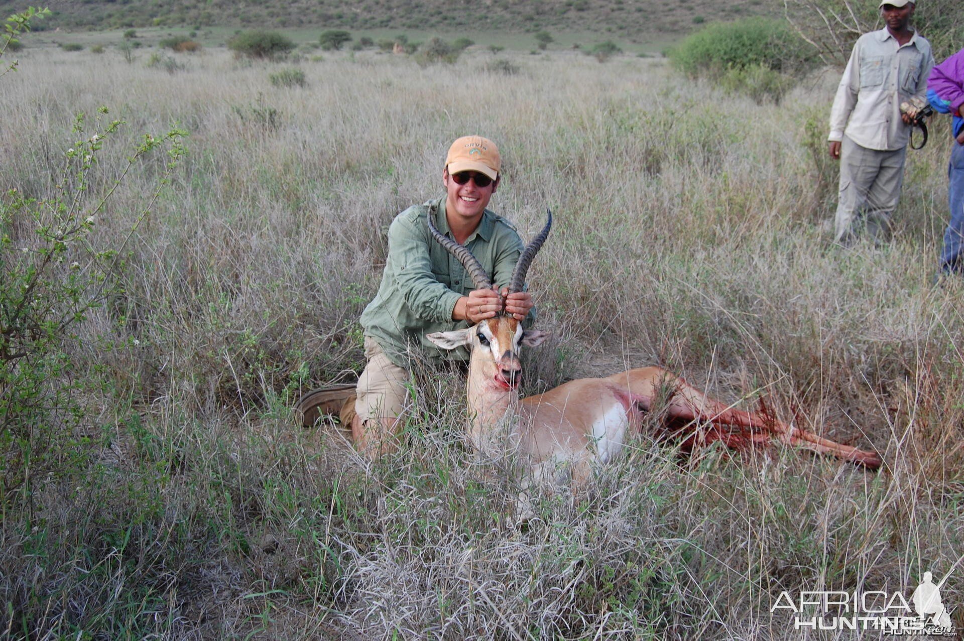 Gazelle Tanzania