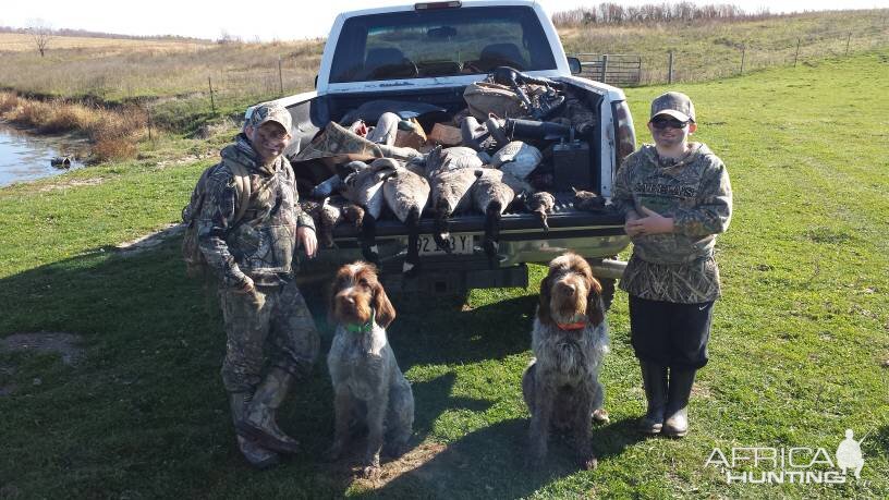 Geese Hunting USA