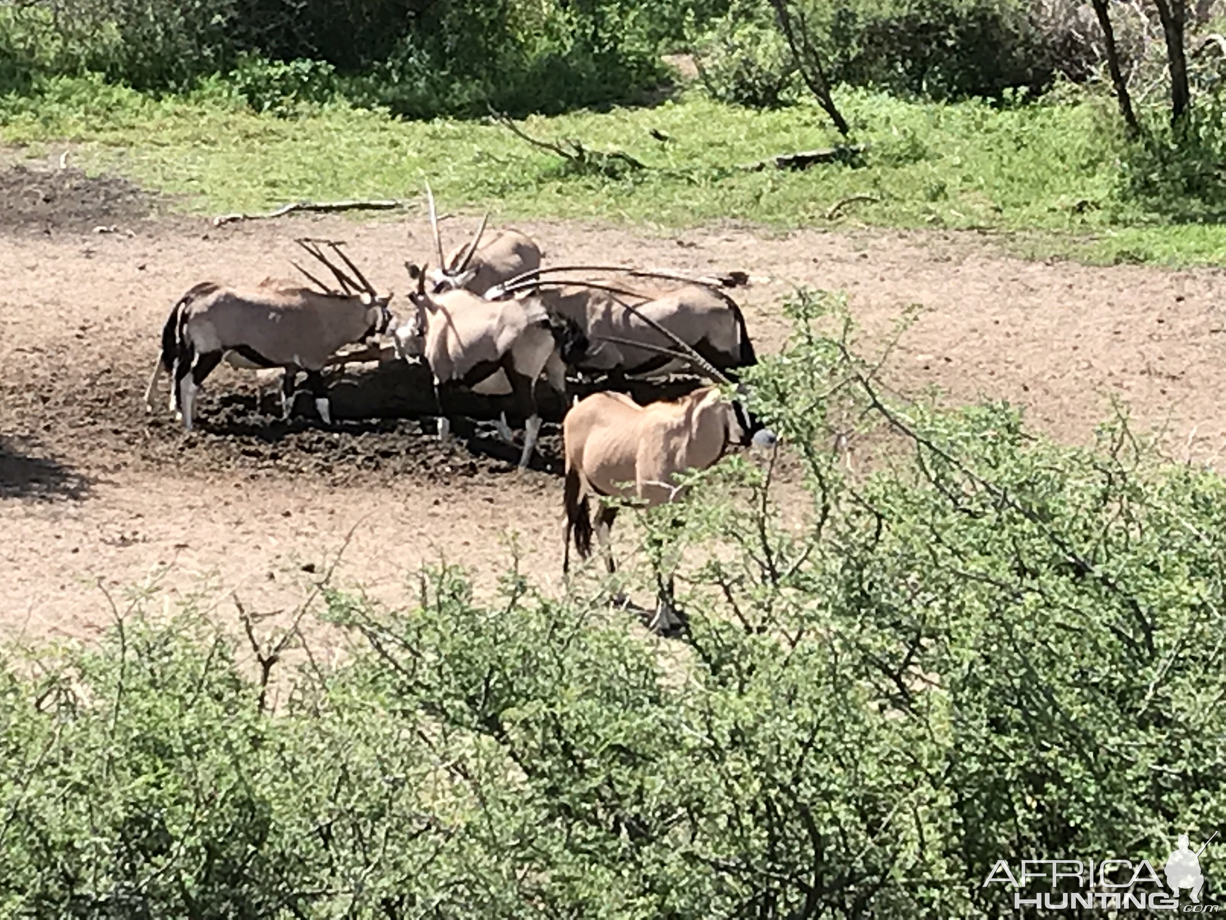 Gembok Namibia