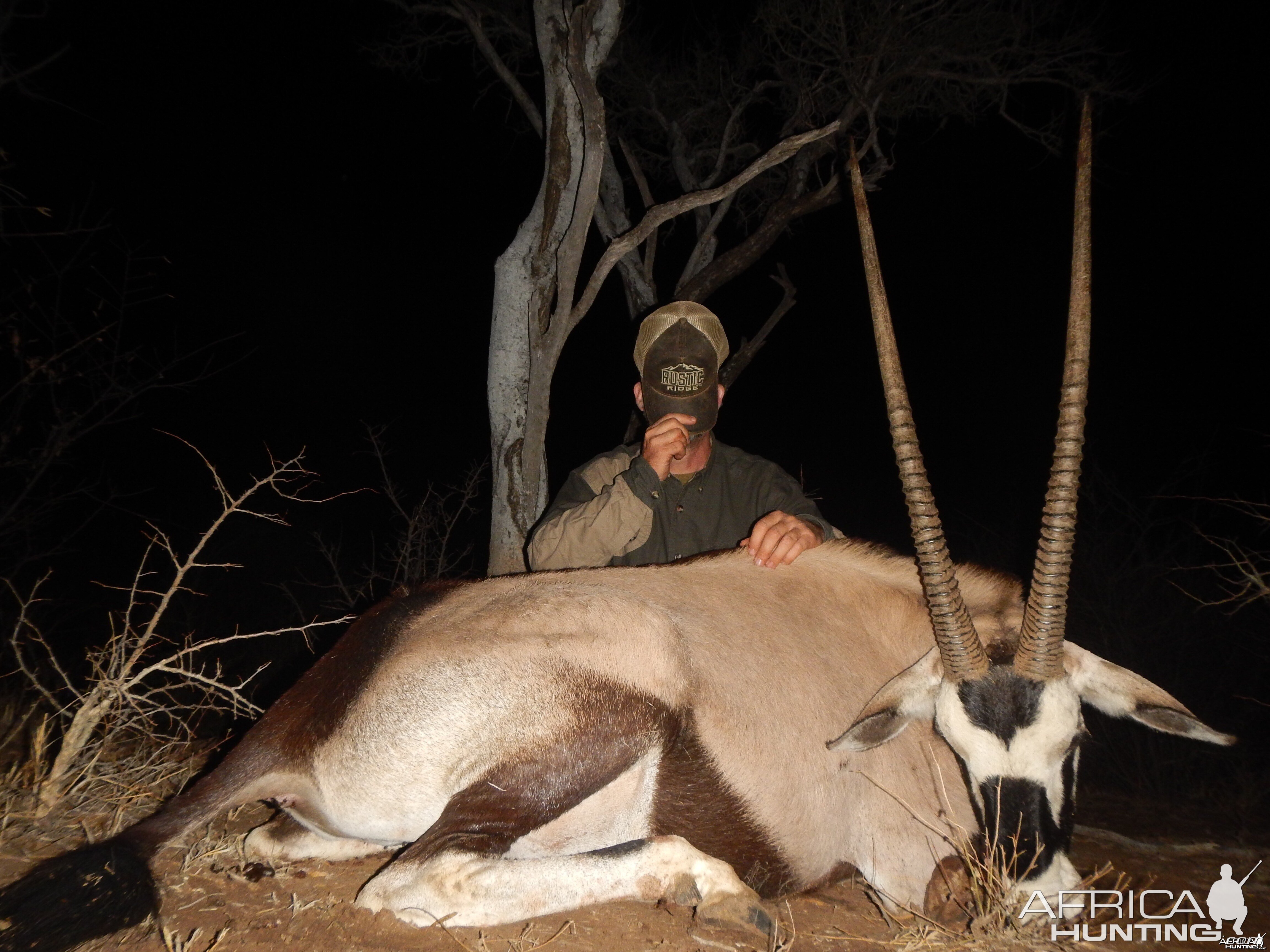 Gemsbok 2