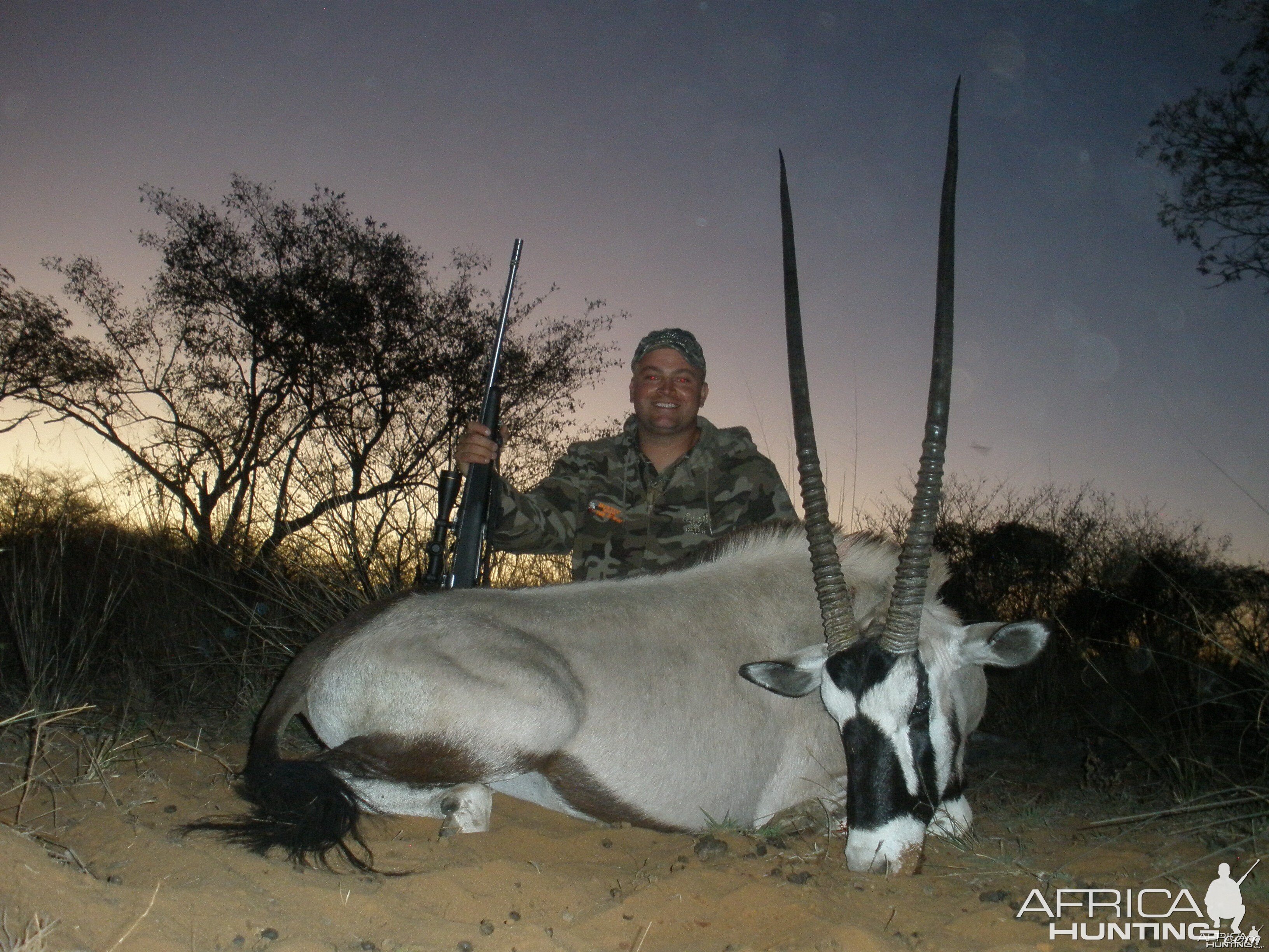 Gemsbok 2010 Limpopo