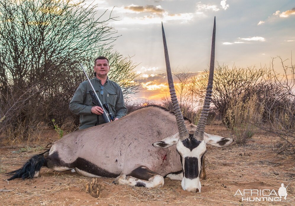 Gemsbok 37 inches