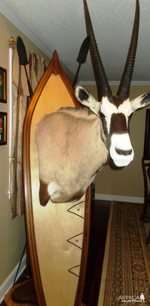 Gemsbok African Shield Pedestal Mount Taxidermy