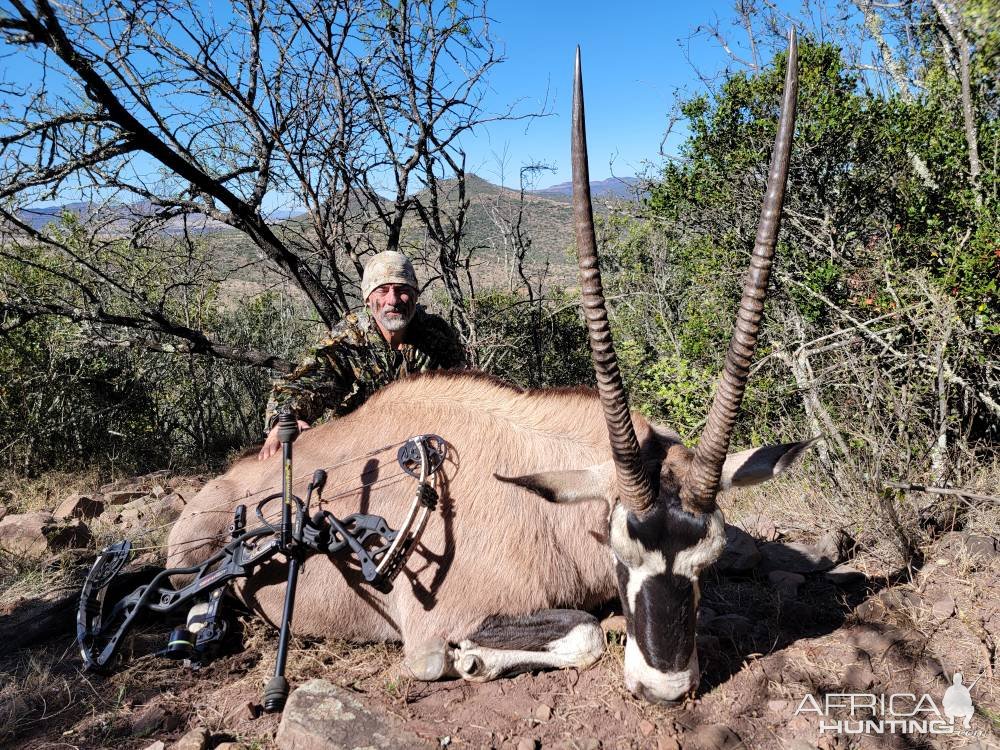 Gemsbok Bow Hunt South Africa