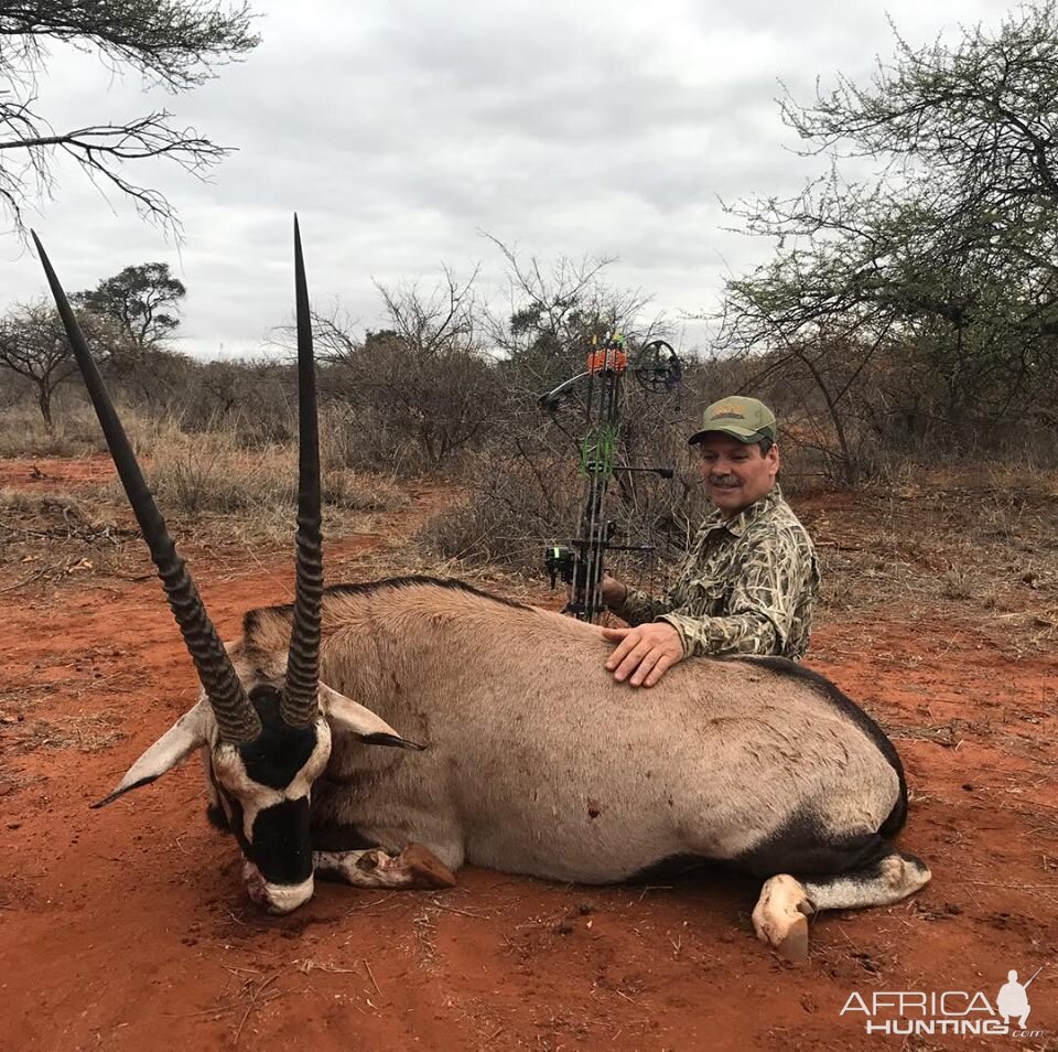 Gemsbok Bow Hunting South Africa