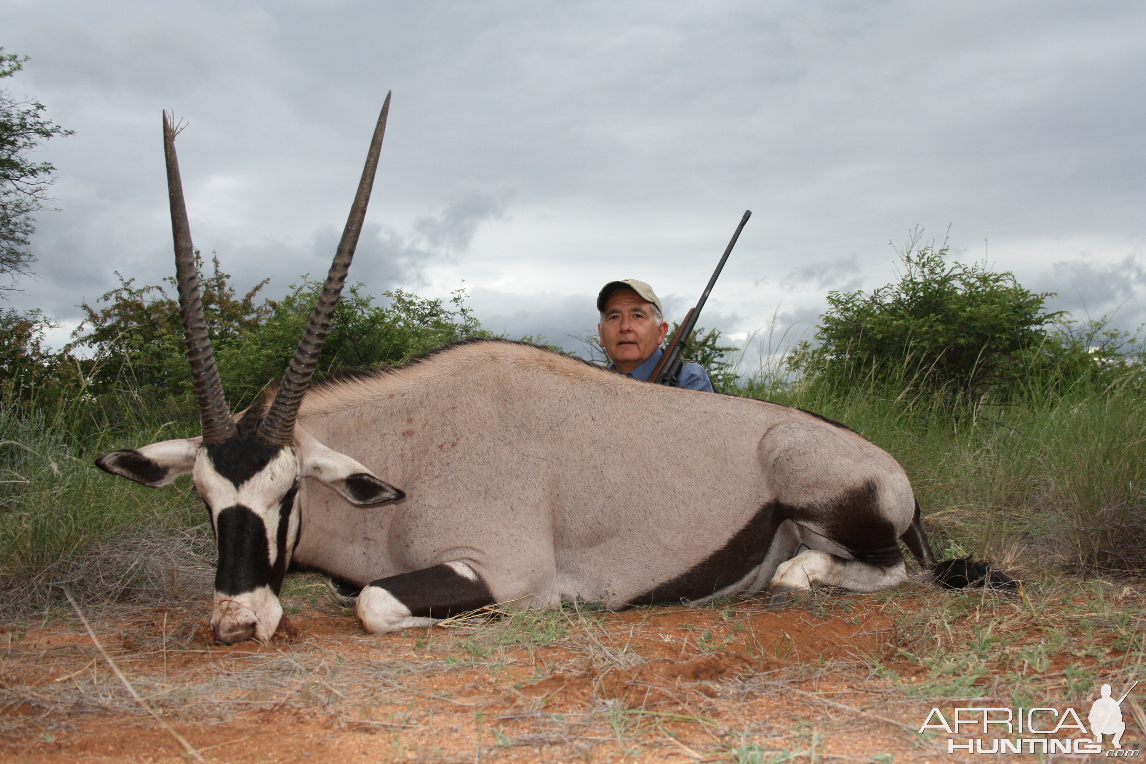 Gemsbok Bull of my Father South Africa